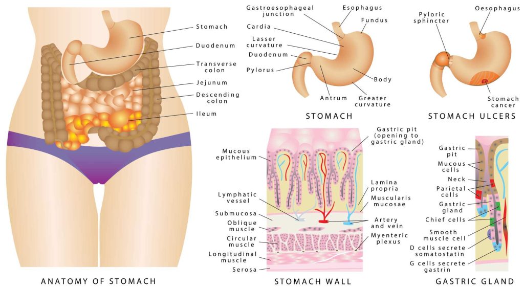 What Do Stomach Spasms Feel Like